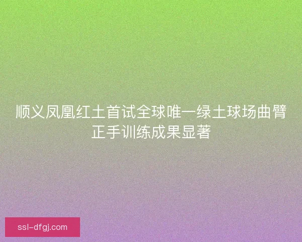 顺义凤凰红土首试全球唯一绿土球场曲臂正手训练成果显著 顺义凤凰红土首试全球唯一绿土球场曲臂正手训练成果显著